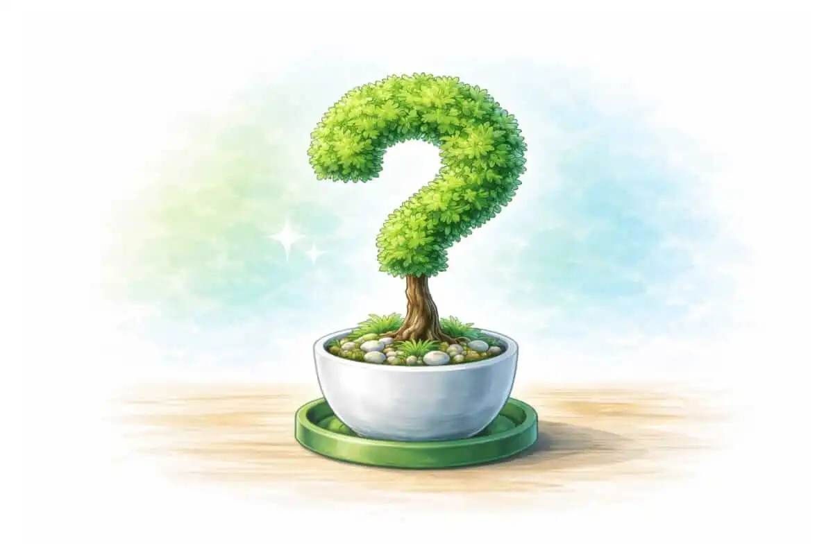 Où mettre son argent quand les livrets sont pleins ?